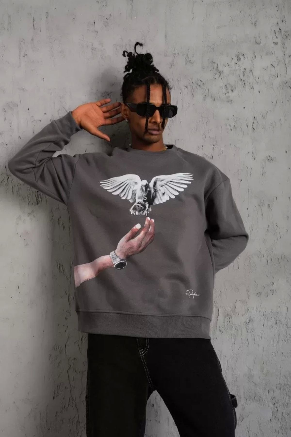AE Stil Erkek Güvercin Baskılı Sweatshirt - Gri