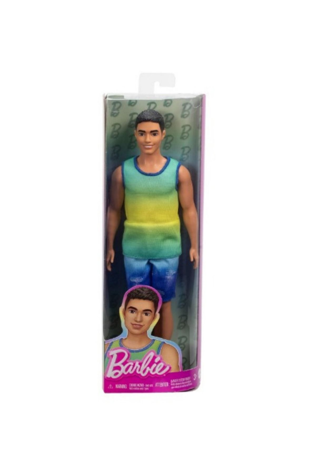 Barbie Yakışıklı Ken Bebekler DWK44-HYV00