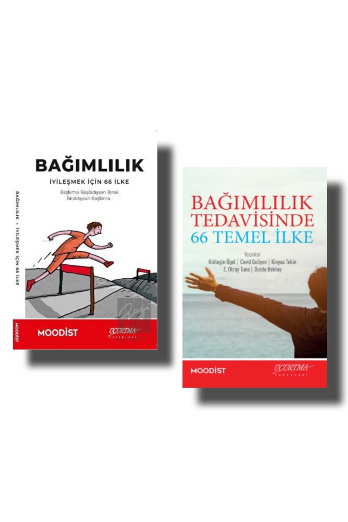 Uçurtma Yayınları BAĞIMLILIK TEDAVİSİNDE 66 TEMEL İLKE / BAĞIMLILIK İYİLEŞMEK İÇİN 66 İLKE