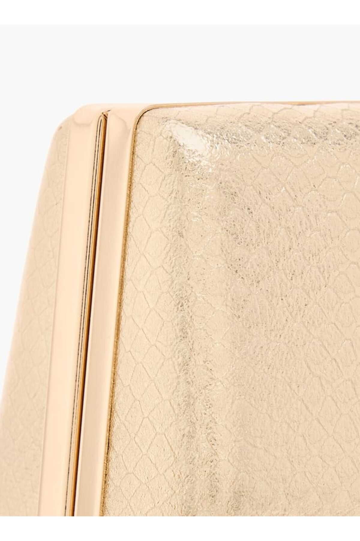 Flora Bella by Shoexpress-Flora Bella Textured Clutch with Flap Closure and Chain Strap 5