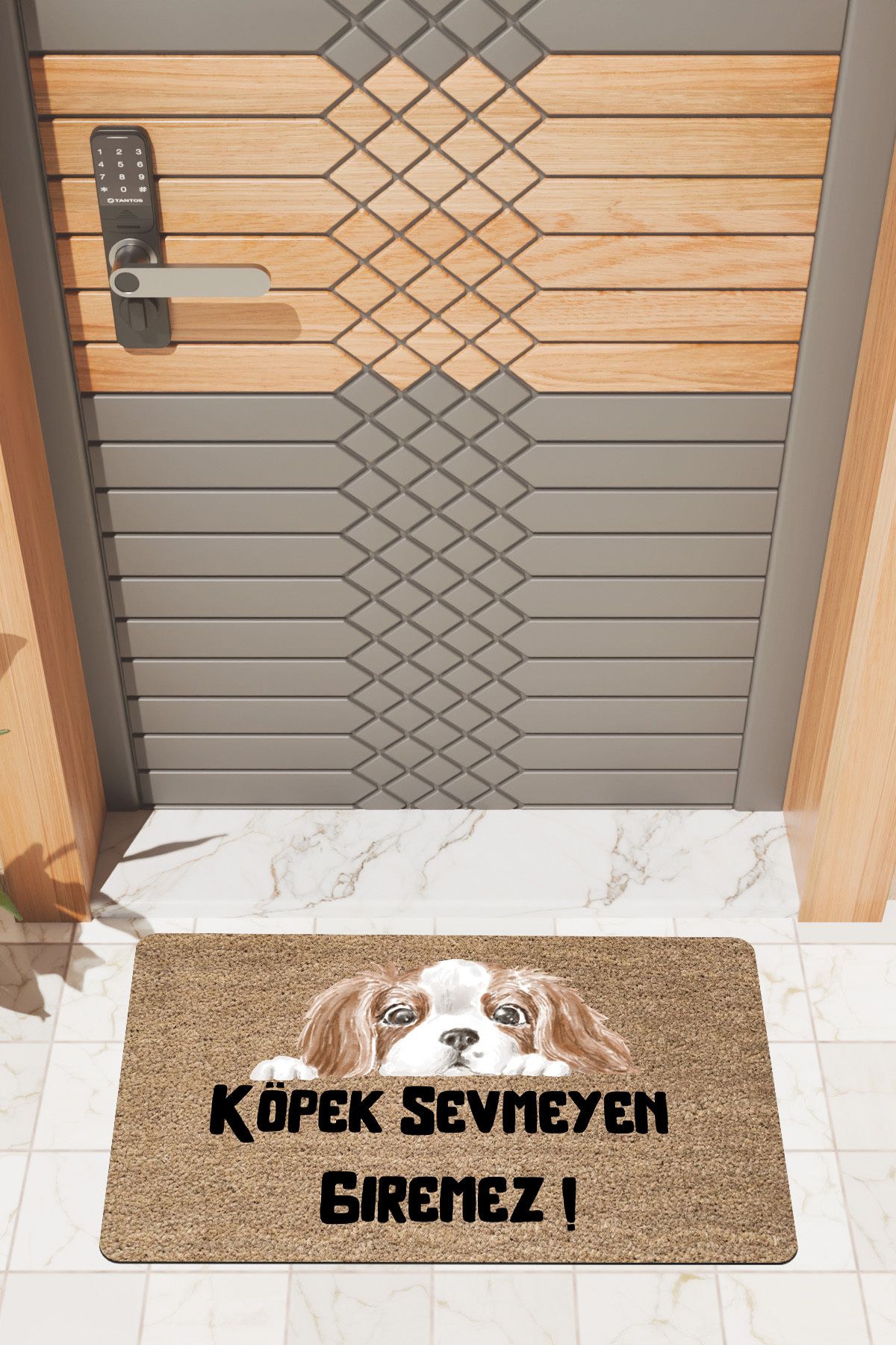 Rugmood Modern Dijtal Baskı Köpek Sevmeyen Giremez3 Kapı Önü Paspası