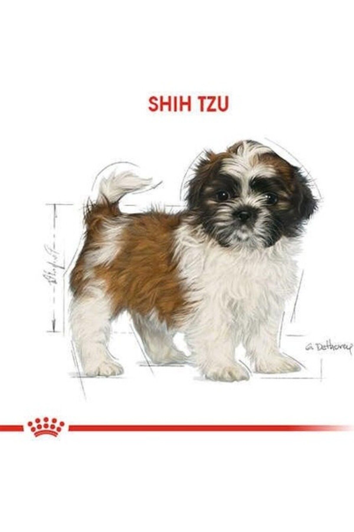 Royal Canin Shihtzu Yavru Köpek Maması 1,5 Kg