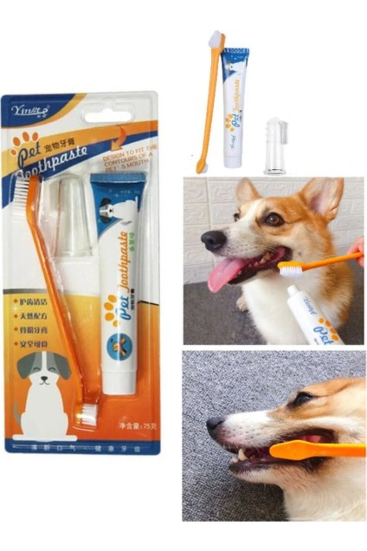 Orqinel Canlipetshop Kedi Köpek Diş Fırçası ve Diş Macunu Seti Yenilebilir Diş Macunu Dental Kit Ağız ve Diş