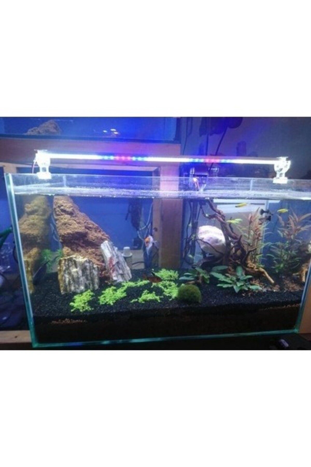 Aquael AquaLed Led Aydınlatma Armatür Karışık Renkli Beyaz-Kırmızı-Mavi 30Cm