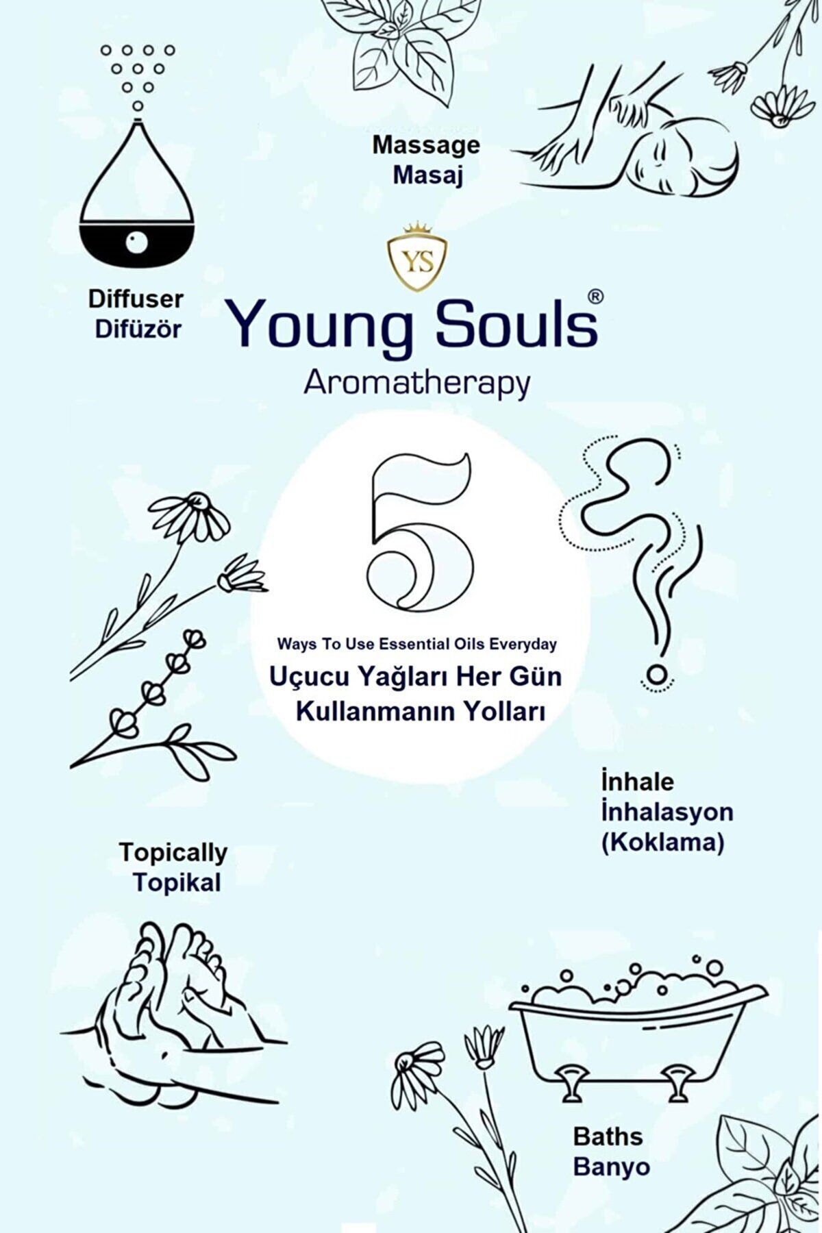YOUNG SOULS-Celebrity Aromatherapy Rose Essential Oil Collection - Rose Essential Oil Collection 210 ml 4
