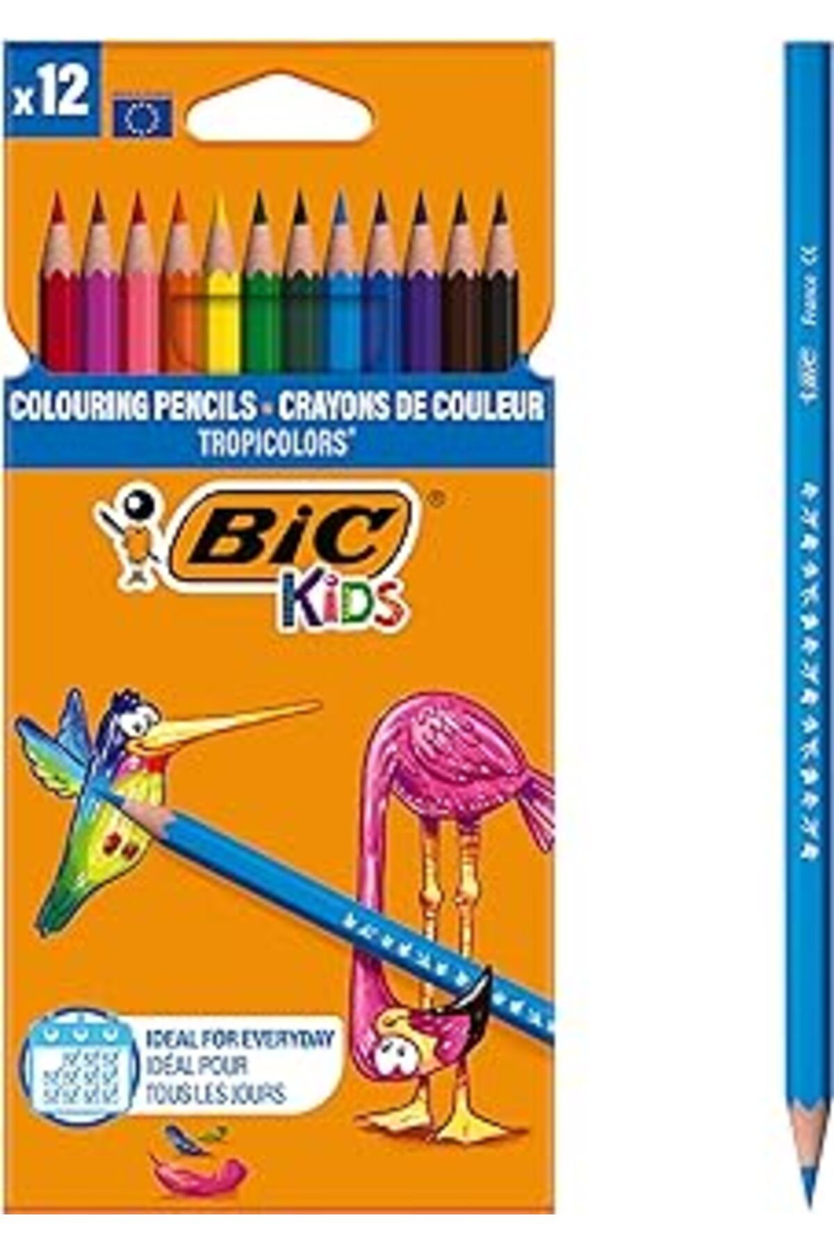 Genel Markalar BIC Kids Tropicolors Kuru Boya Kalemi 12 Renk