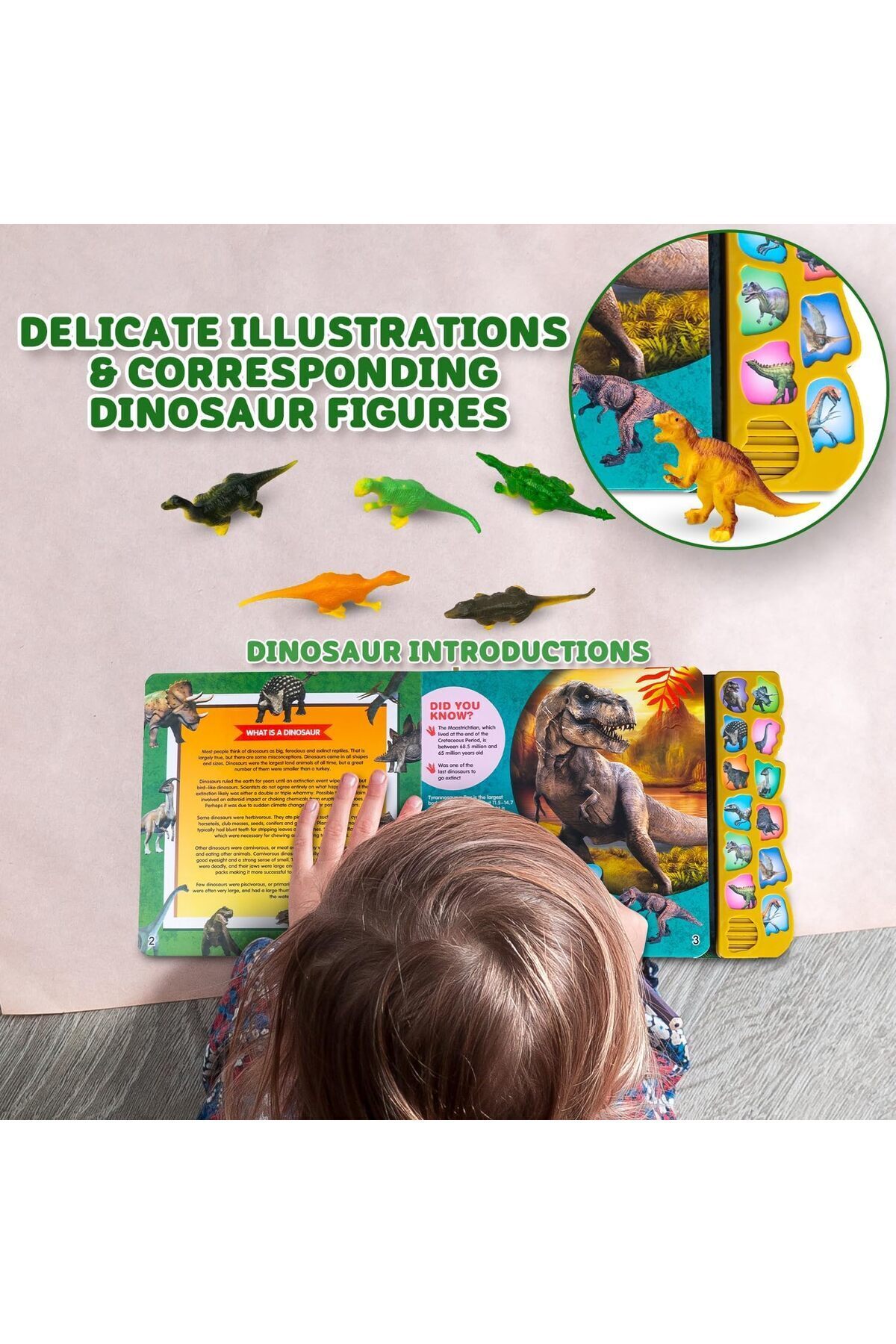 کتاب صوتی تعاملی دایناسور، ۱۲ فیگور دایناسور، صدای واضح، مناسب برای کودکان ۳ سال به بالا