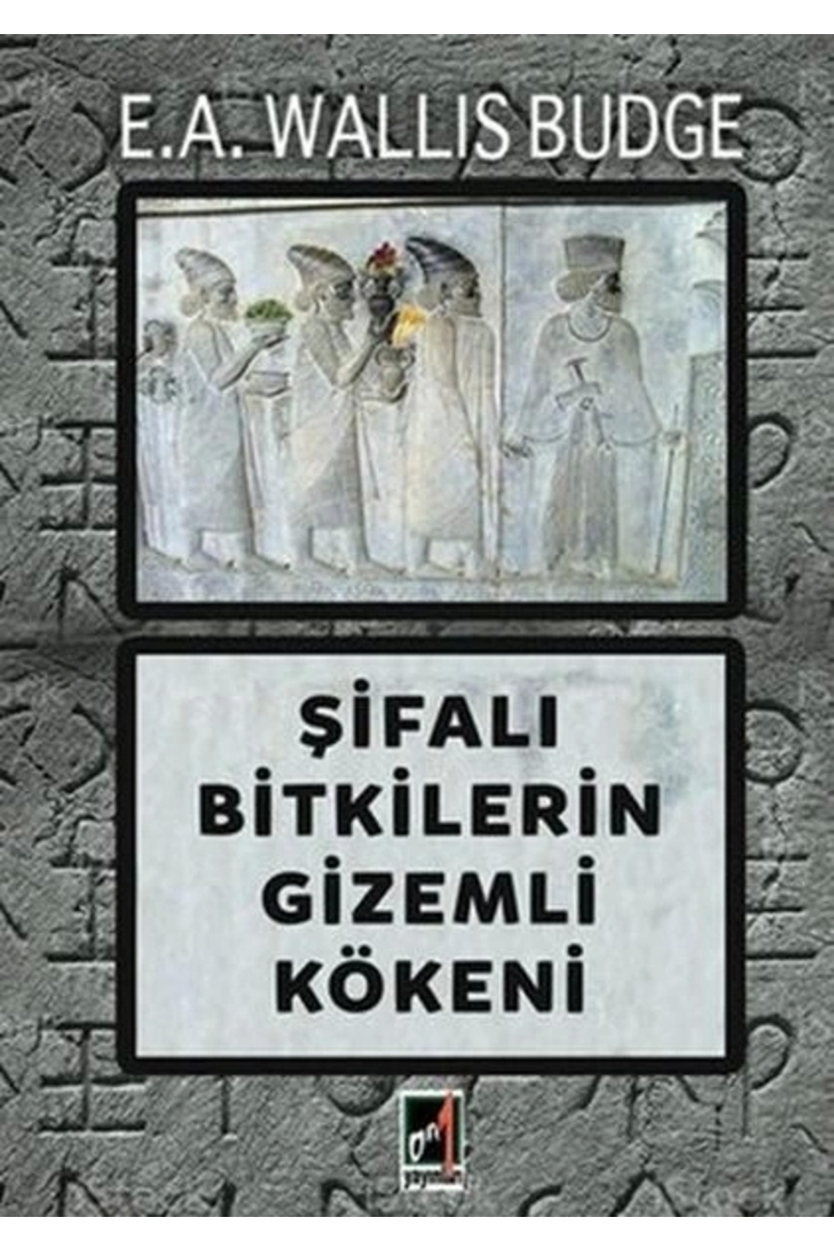 Genel Markalar Şifalı Bitkilerin Gizemli Kökeni