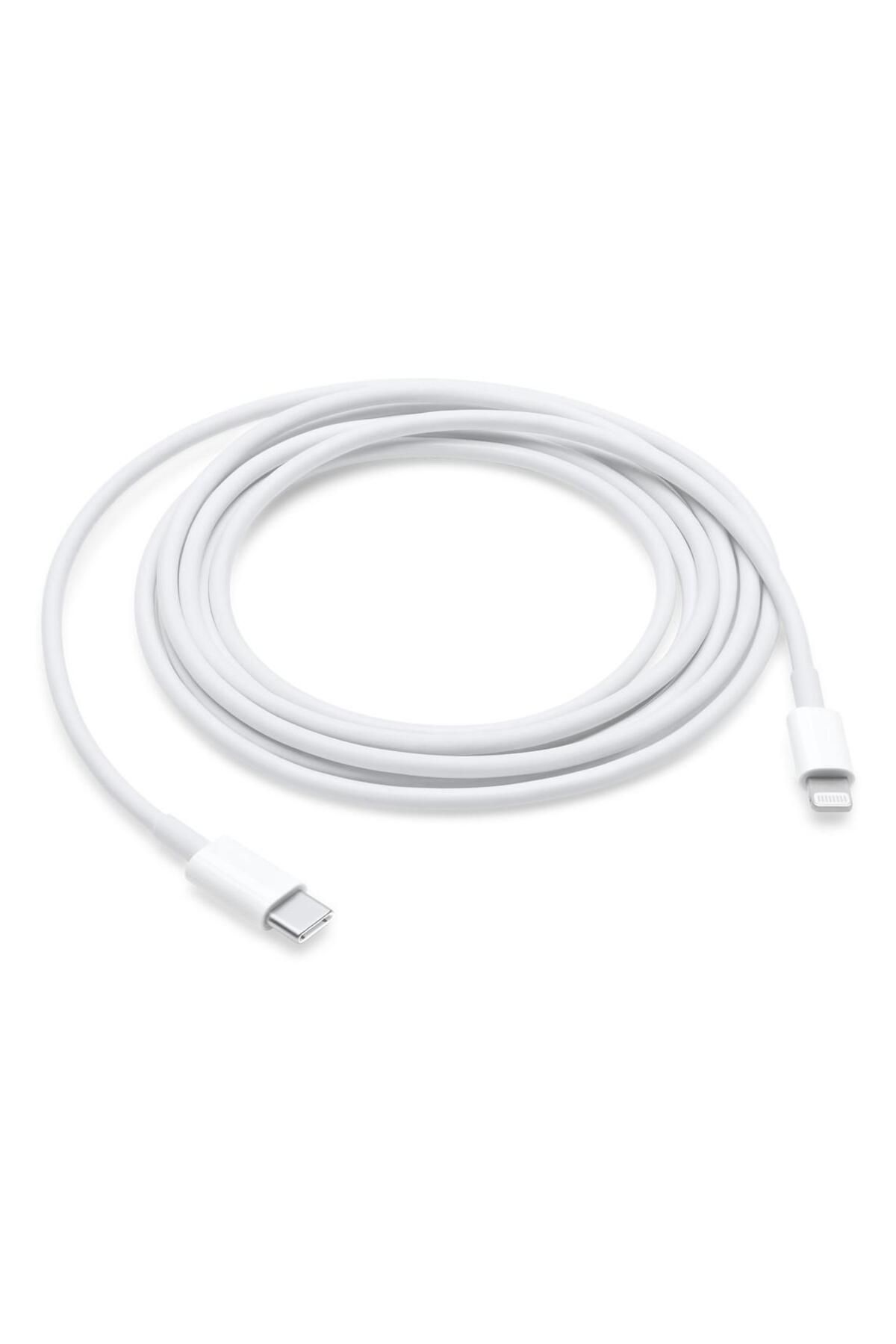 Apple-USB-C To Lightning Cable (2 M) 1