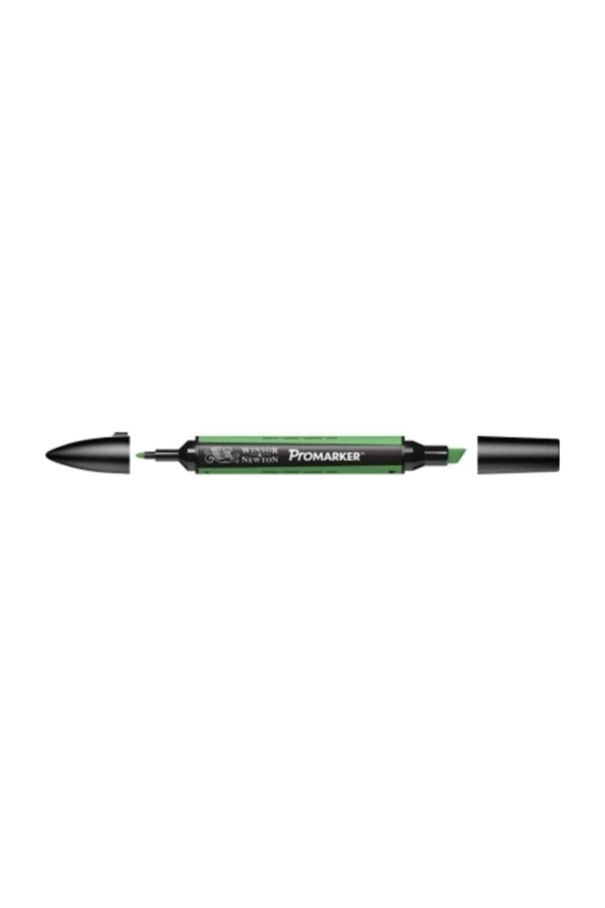Winsor Newton-قلم رسم جرافيك ذو طرفين من بروماركر، عشب 253 (G457) 2
