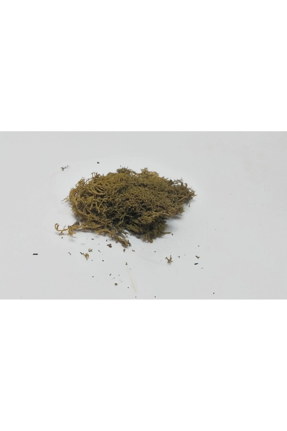 Del Rey Delrey Yosun Açık Yeşil 20 gr - Fiyatı, Yorumları