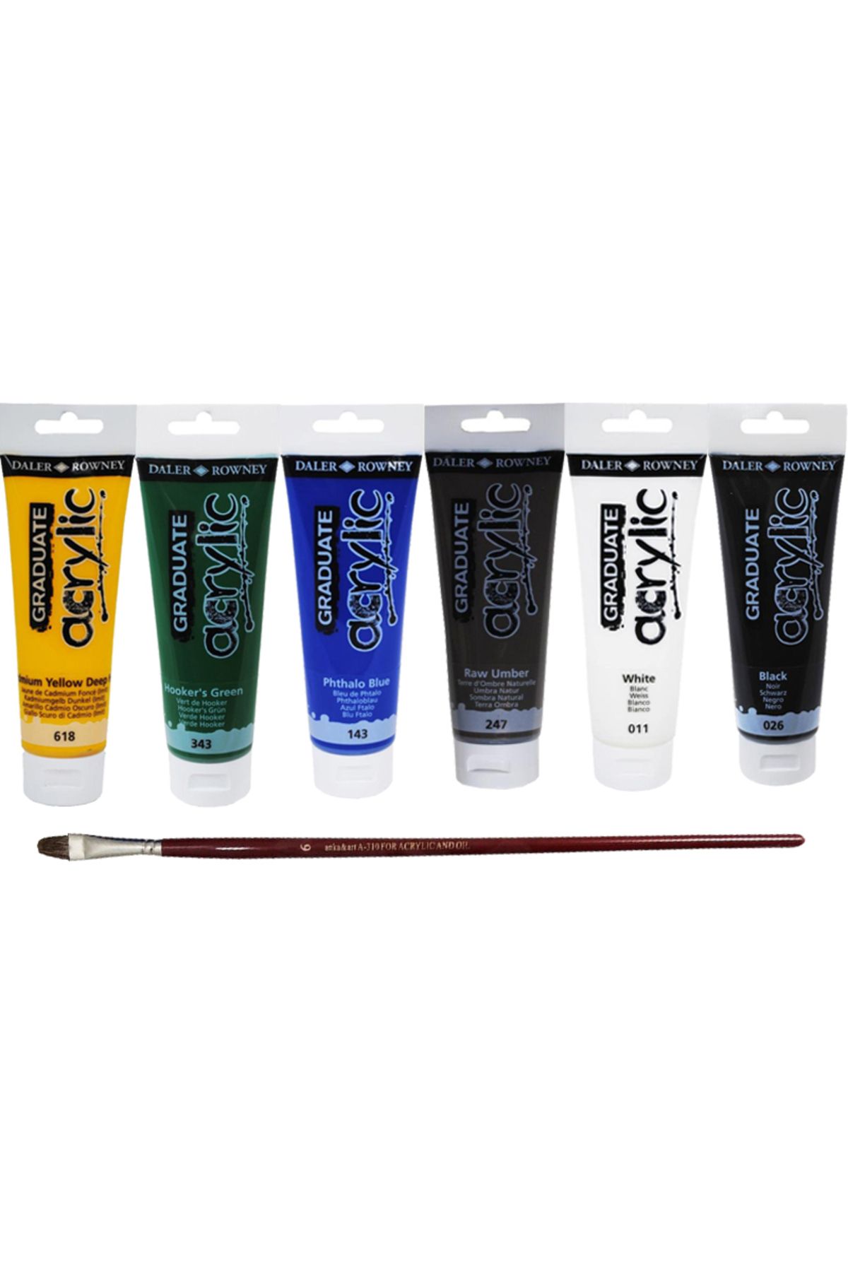 Anka Art Daler Rowney Graduate Akrilik Boya 120ml 6lı Set 2 + Anka Art Fırça Hediyeli