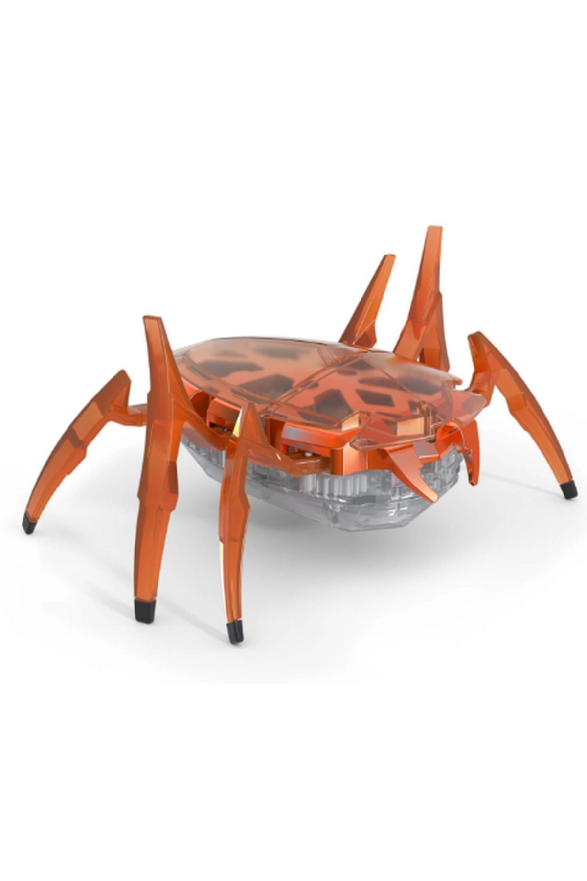 نسی‌ورلد هگزباتس سکاراب نانو و سوسک