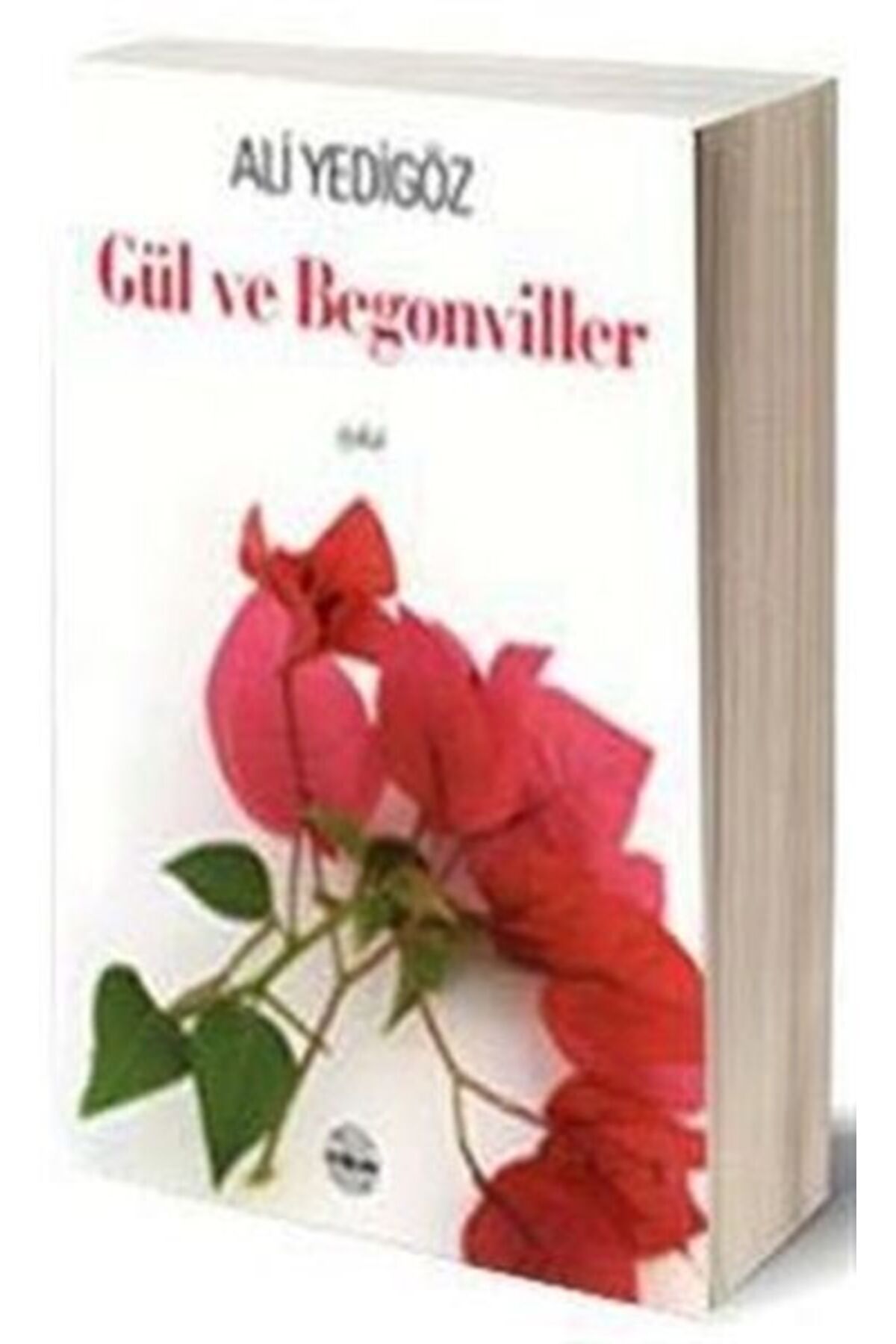 Mühür Kitaplığı Gül ve Begonviller