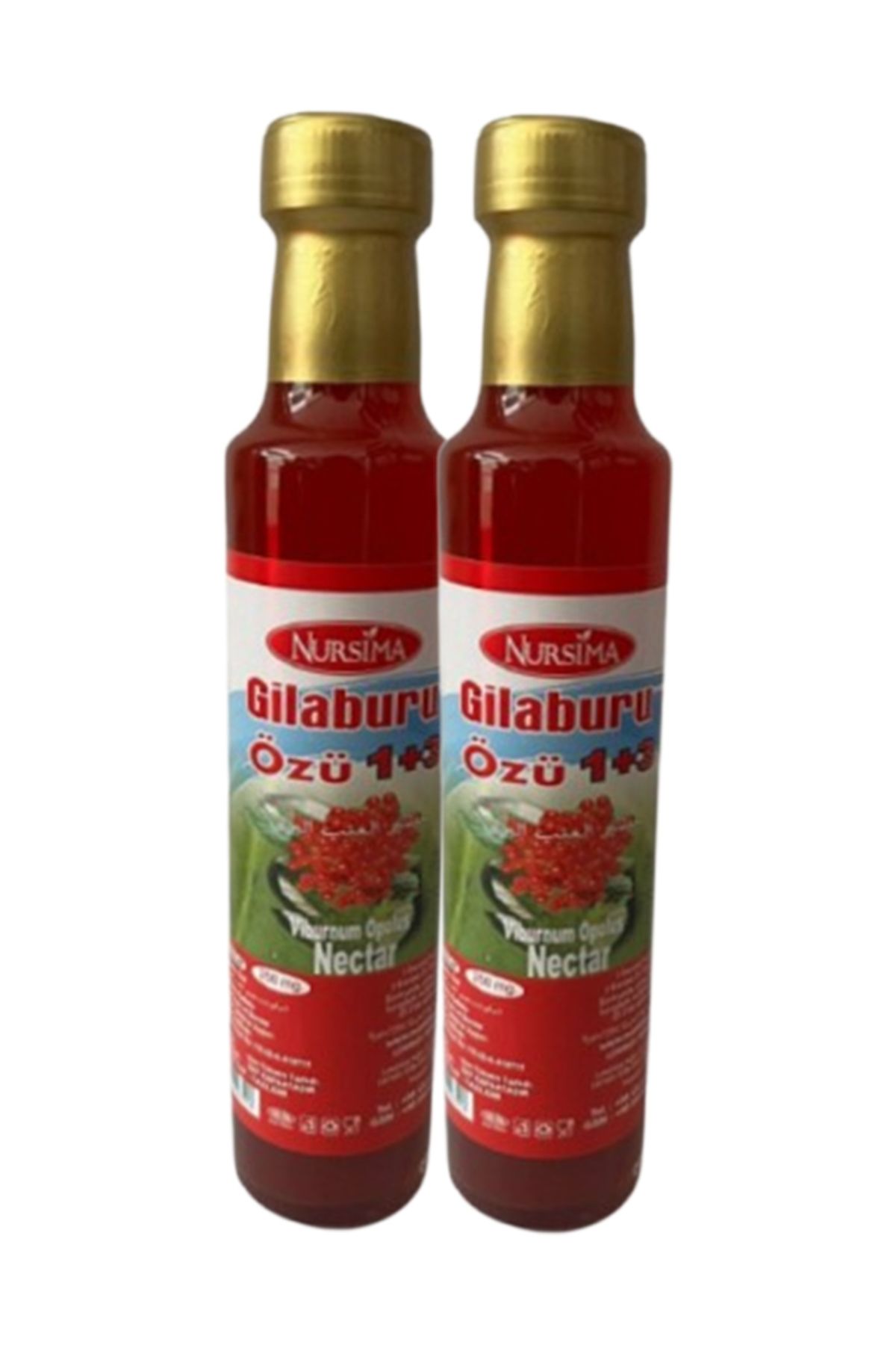 Nursima Gilaburu Özü (1+3 Ölçek) 250 ml, 2 ADET