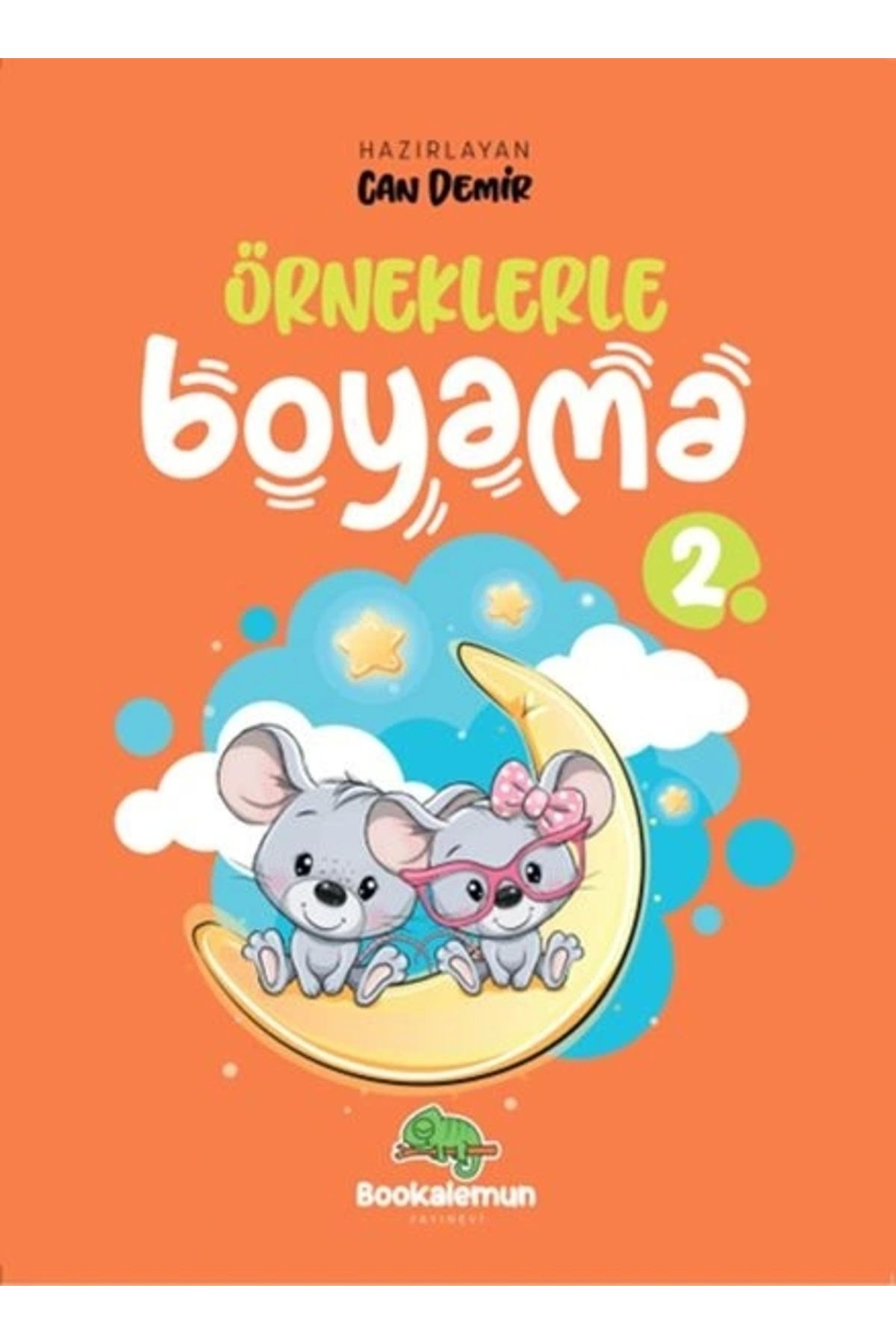 bookalemun yayınevi Örneklerle Boyama 2