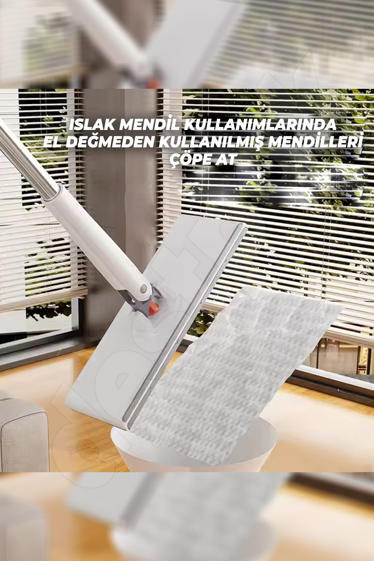 1_org_zoom.jpg