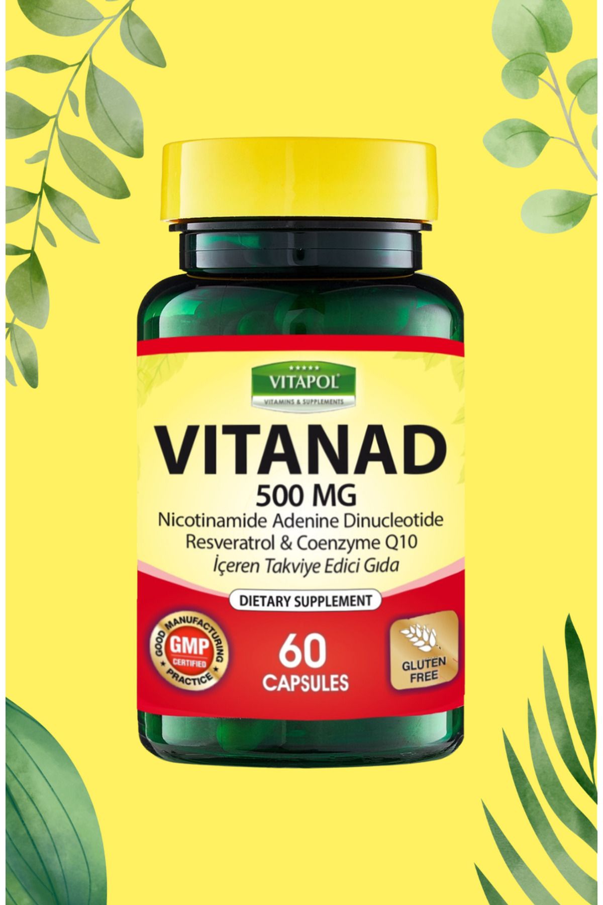 Vitapol VITANAD 500MG 60 Kapsül (nad nad 500mg resveratrol koenzim coenzim Q10 NADP NAD)