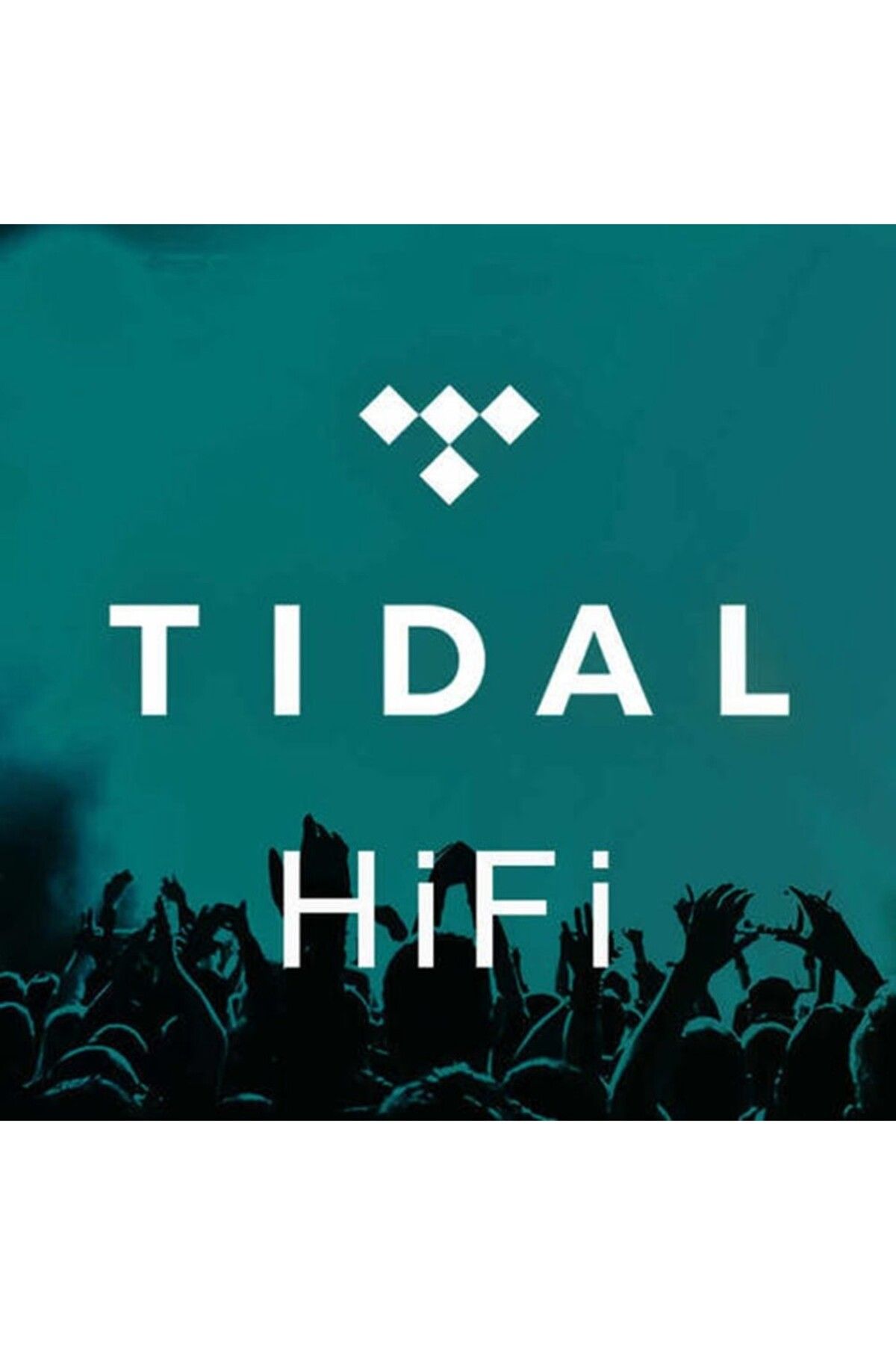 Hi-Fi Tidal - 2 Aylık Hi-Fi Plus Abonelik Hesabı