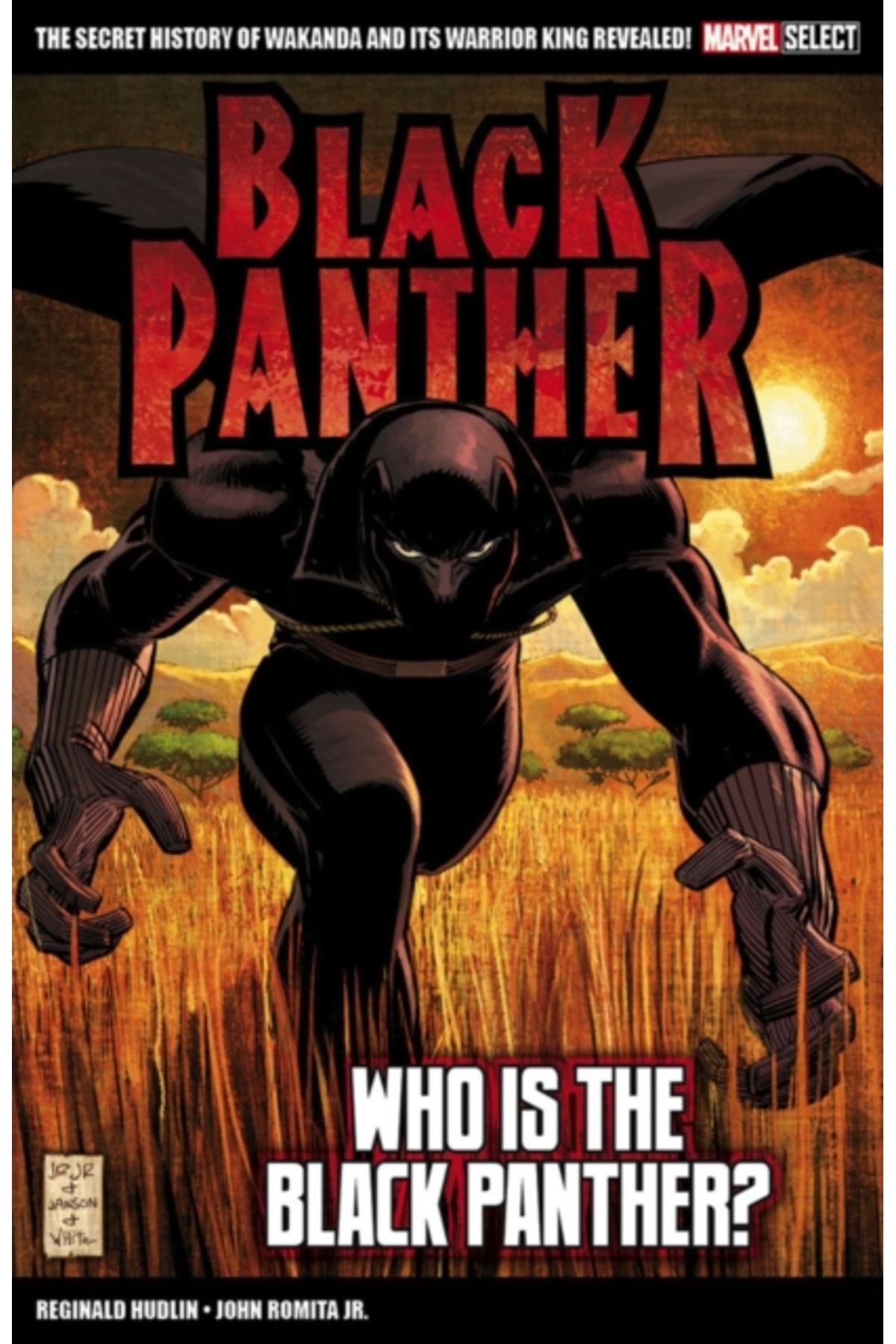 Pandora Kitabevi Who Is the Black Panther?