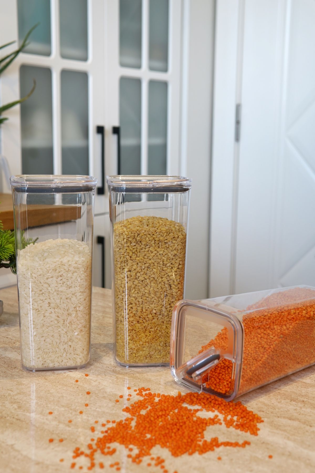 EVLE-Practical Lid Storage Container 3 X 1.2 L 3