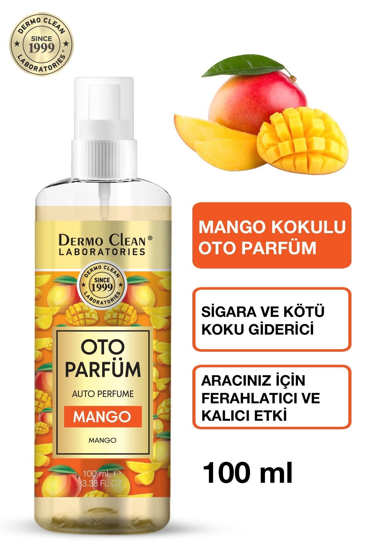 Dermo Clean DOĞAL MEYVE ÖZLÜ MANGO KOKULU OTO PARFÜM 100 ML