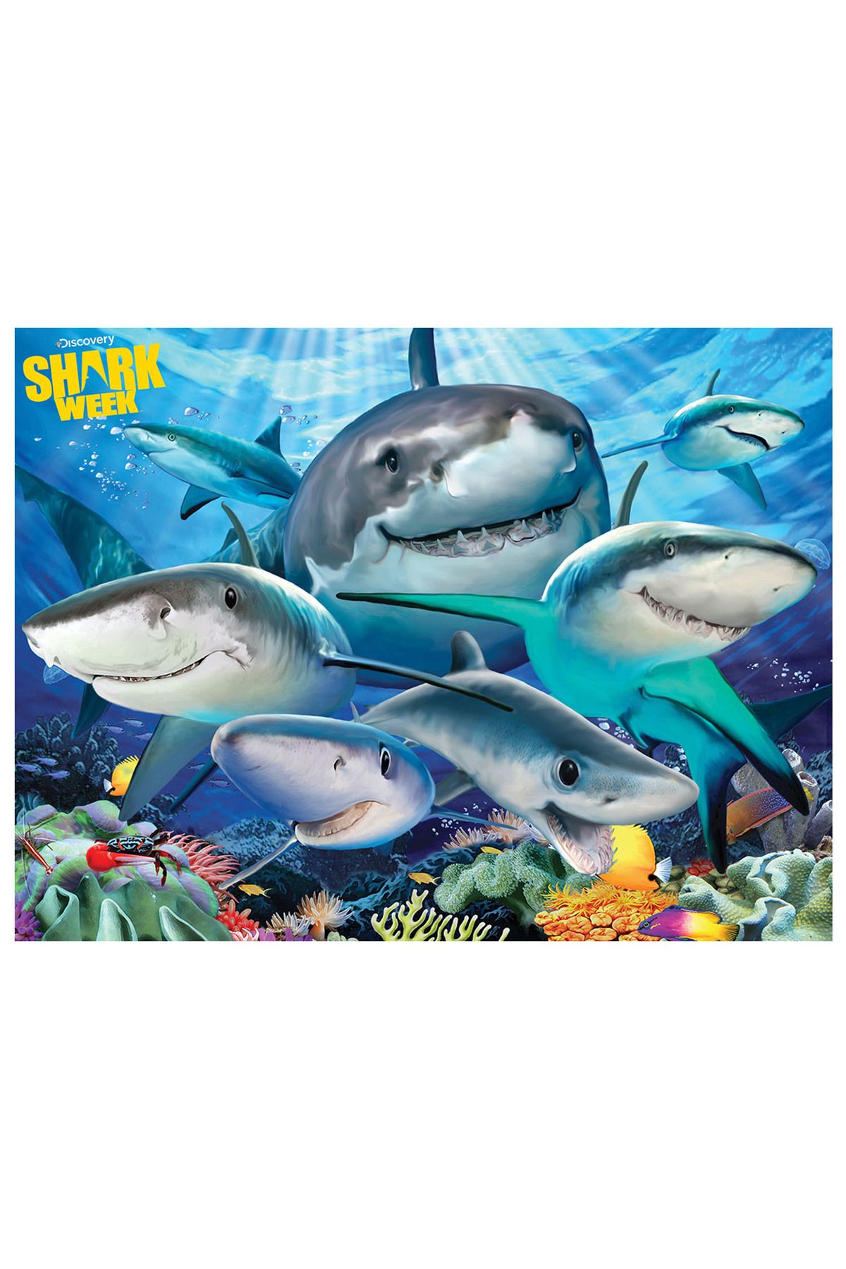 Prime 3D Discovery Köpek Balıkları Puzzle 100 Parça 10668