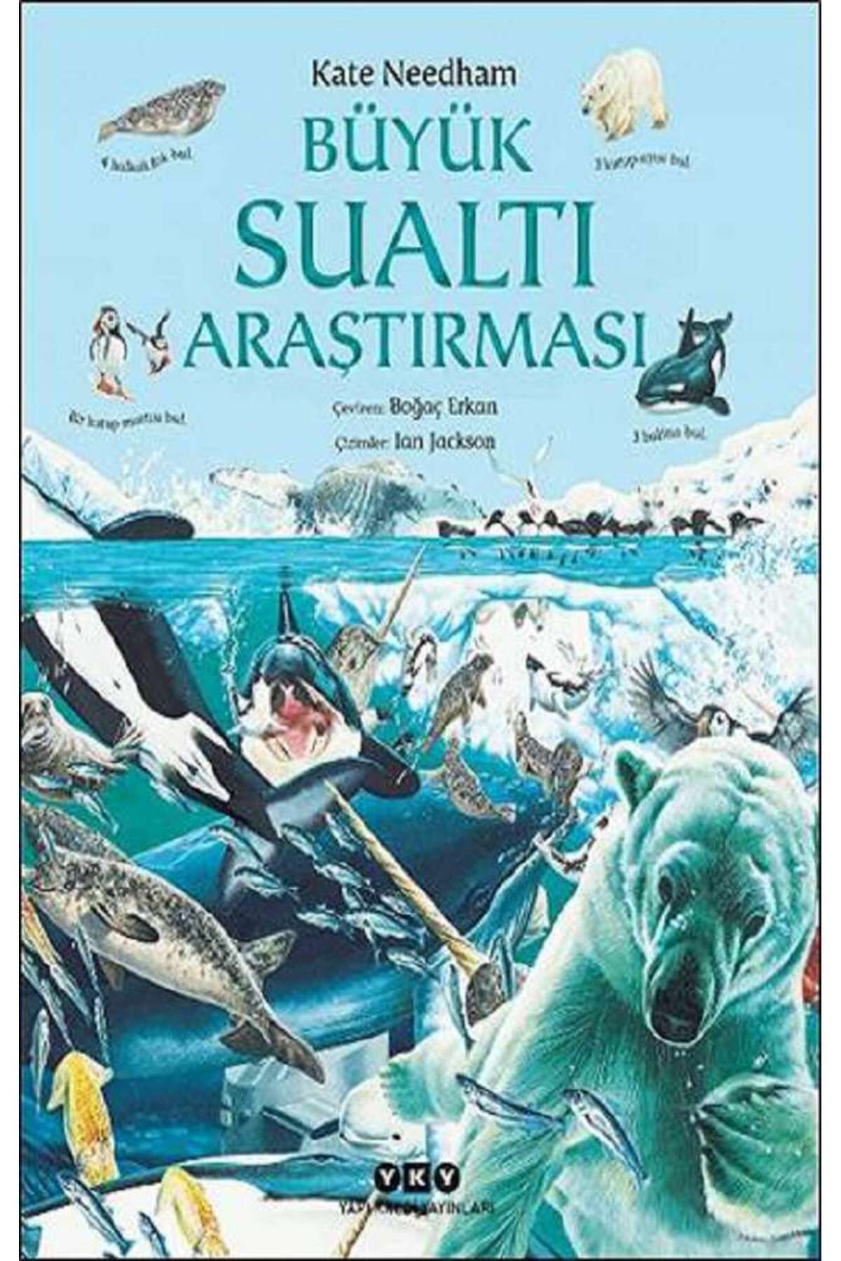 Yapı Kredi Yayınları Büyük Sualtı Araştırması
