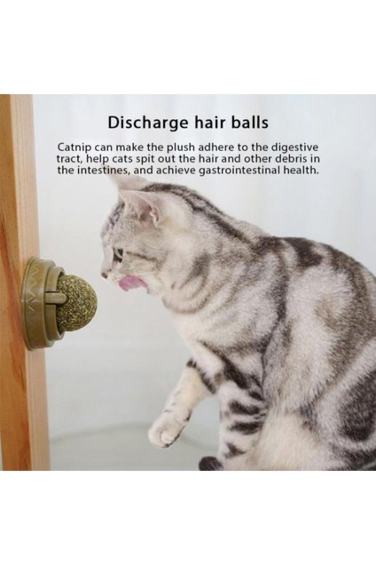 Fitline-Natural Catnip Edible Catnip Herb Play Ball Toy Cat Mint Ball Toy 2
