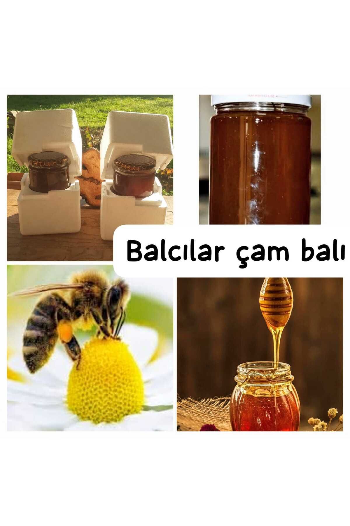 Muğla Çam Balı Balcılar çam balı