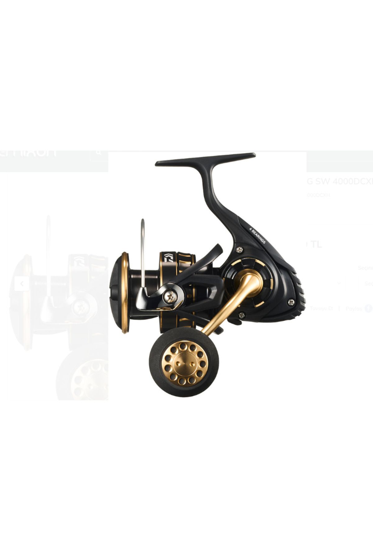 daiwa 23 BG SW 4000DCXH MAKARA