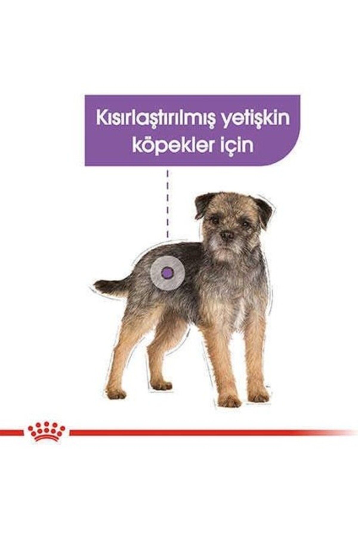 Royal Canin Sterilised Pouch Konserve Köpek Maması 85 gr