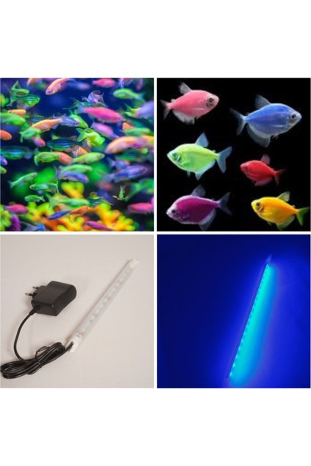 Orijen Orion Led Aquaslim Royal Mavi / Transgenetik Türler Için Akvaryum LED Aydınlatma