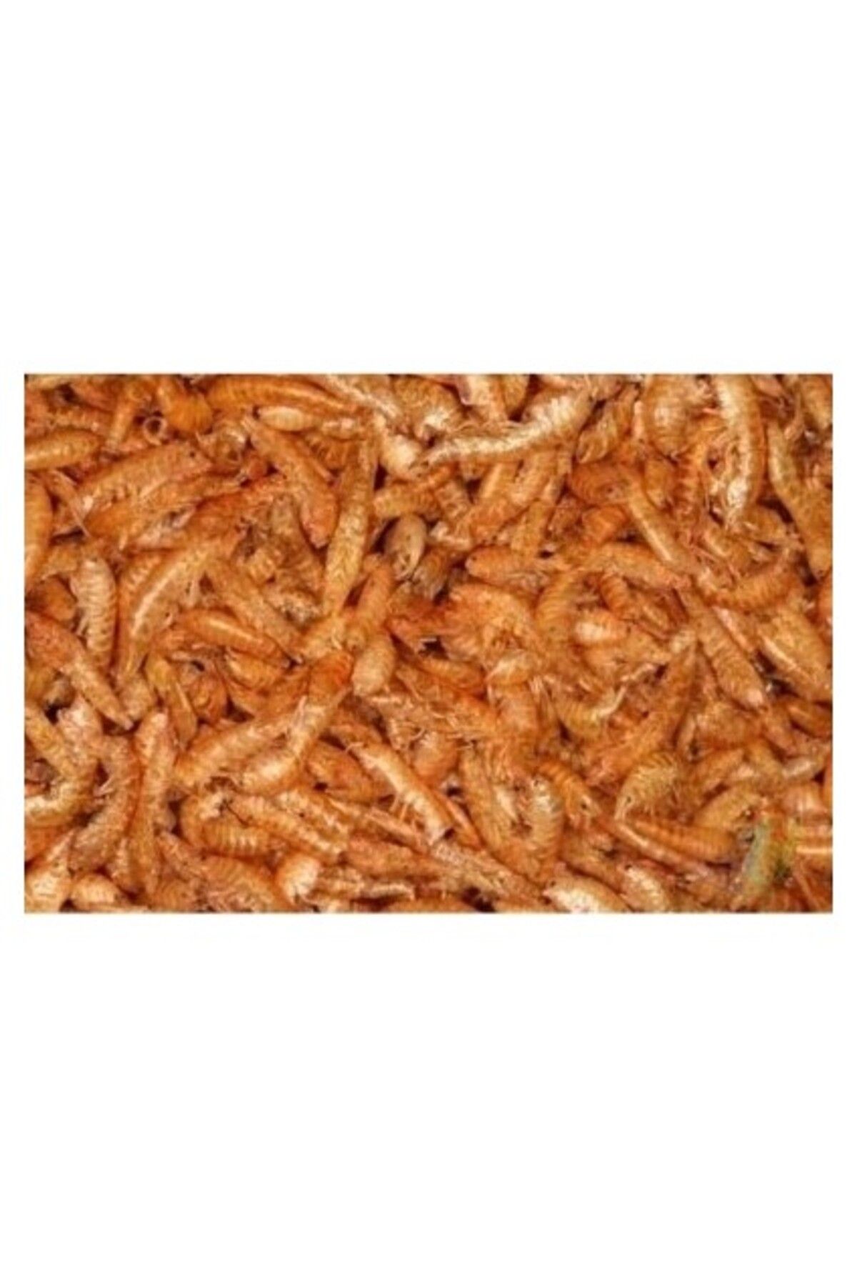 Orqinel Kurutulmuş Karides (Gammarus) 100 gr