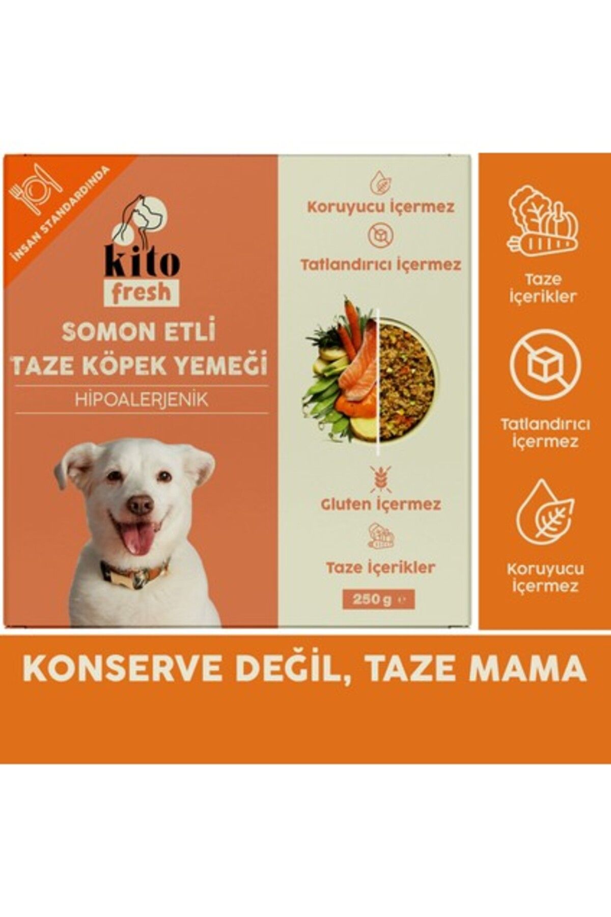 Genel Markalar Kito Fresh Somon Etli Taze Köpek Yemeği