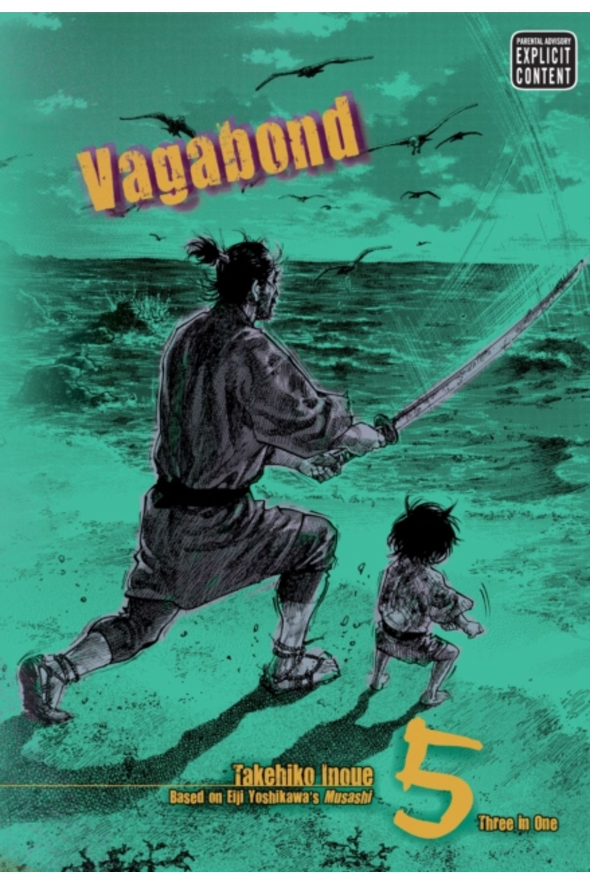 Pandora Kitabevi Vagabond, Vol. 5 (VIZBIG Edition)