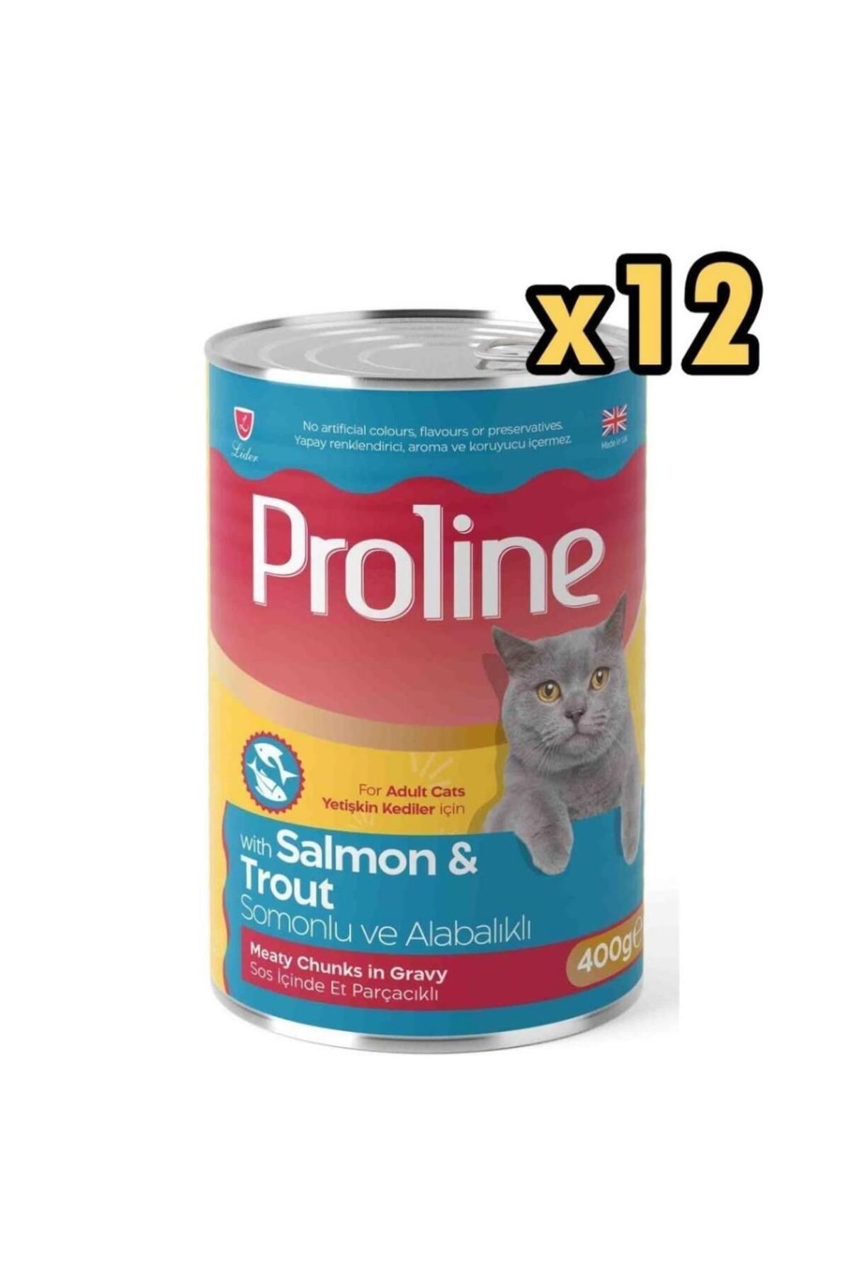 PROLINE Sos İçinde Parça Somonlu ve Alabalıklı Yetişkin Kedi Konservesi 400gr x 12 Adet