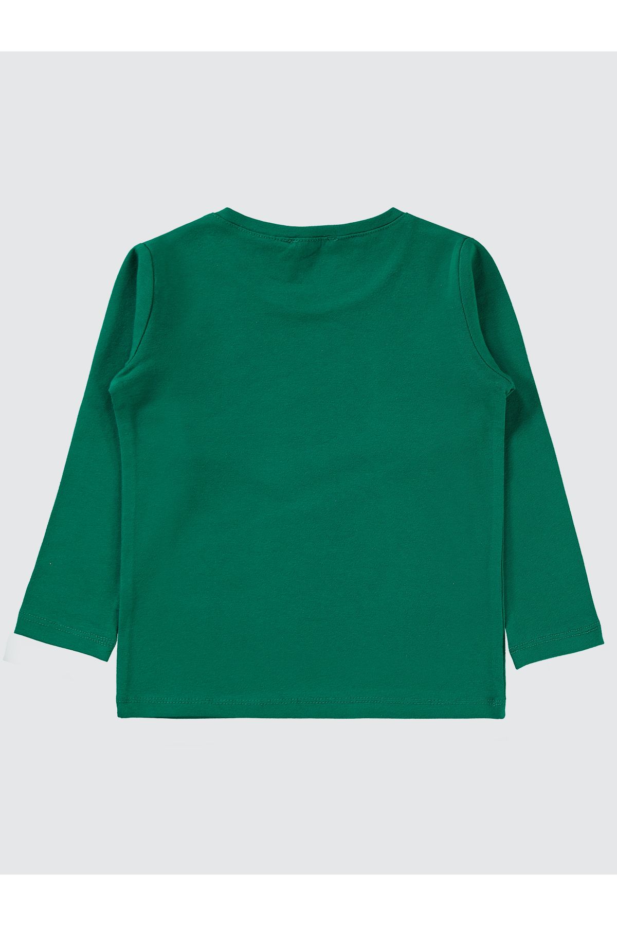 Civil Boys-Boy's Sweatshirt 2-5 Years Pine Green 2