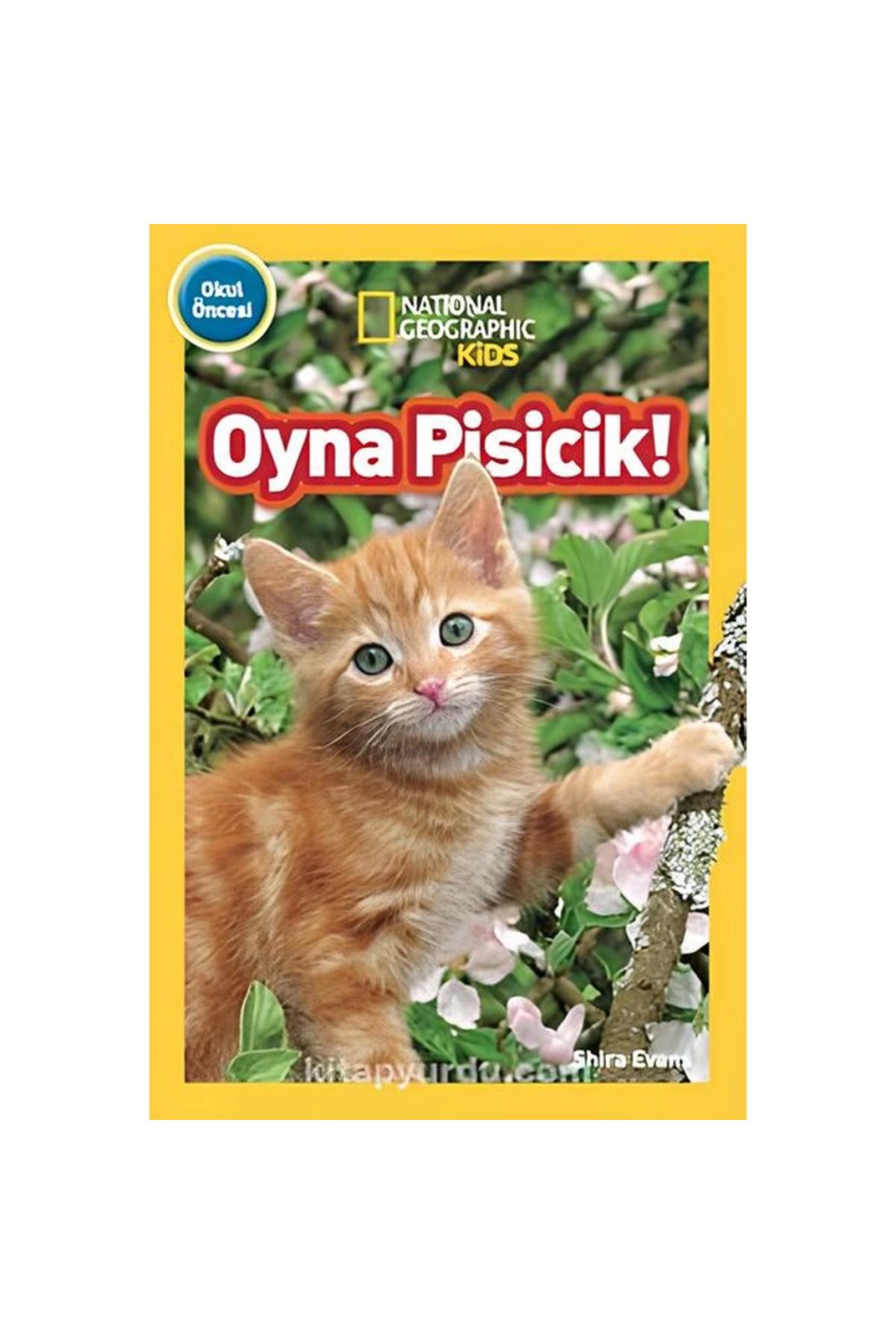 NessiWorld Kids Oyna Pisicik!