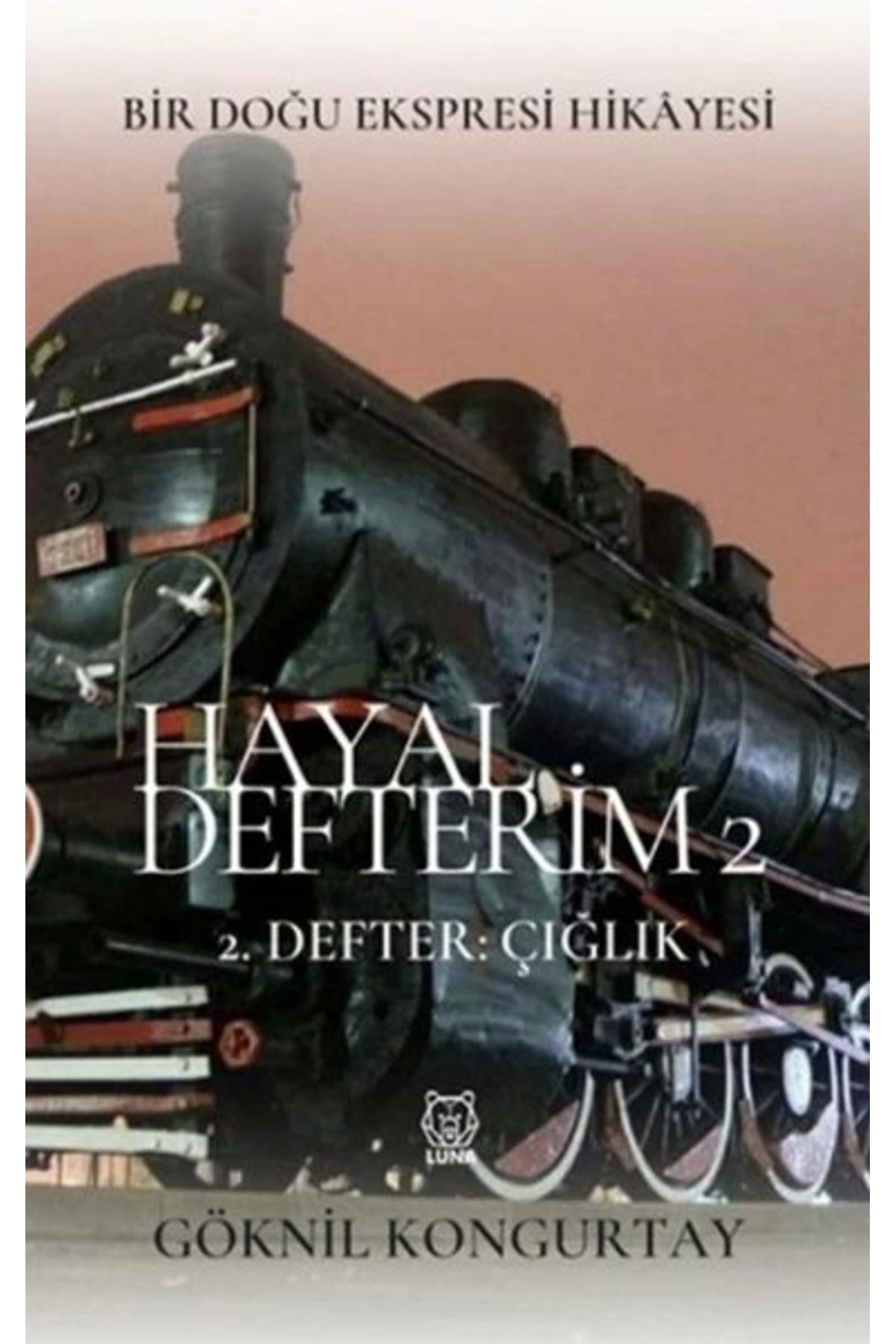 Luna Yayınları Hayal Defterim 2 - 2. Defter: Çığlık