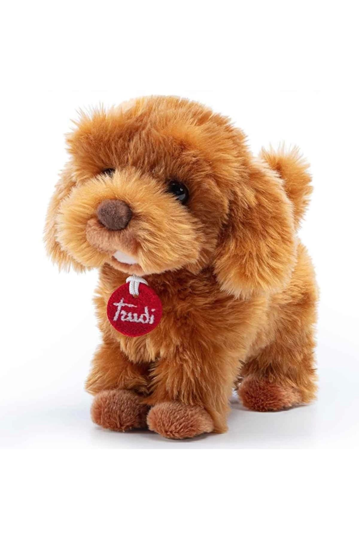 TWOX Çocuk Trudi Peluş Toy Poddle Oliver Köpek 20 cm