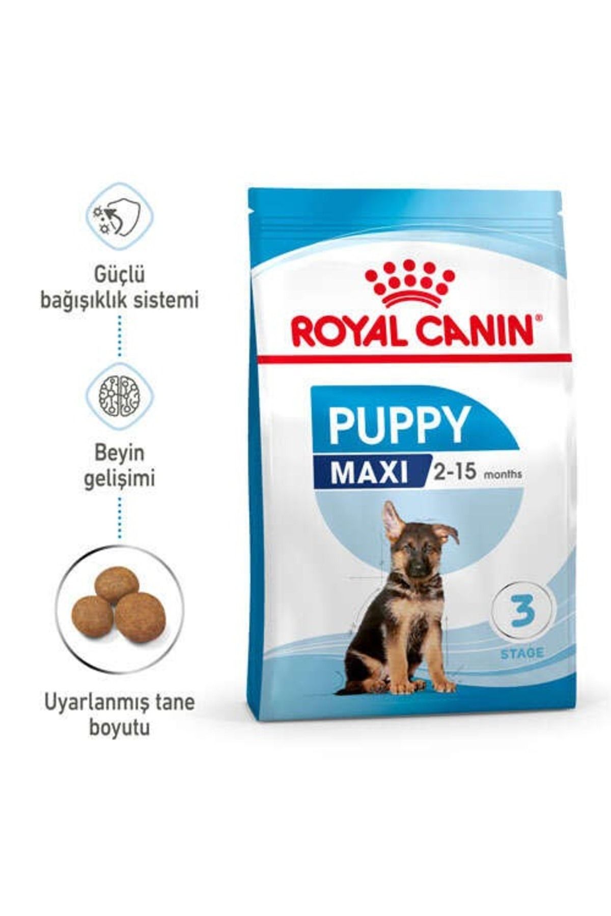 Royal Canin Maxi Puppy Büyük Irk Yavru Köpek Maması 15kg