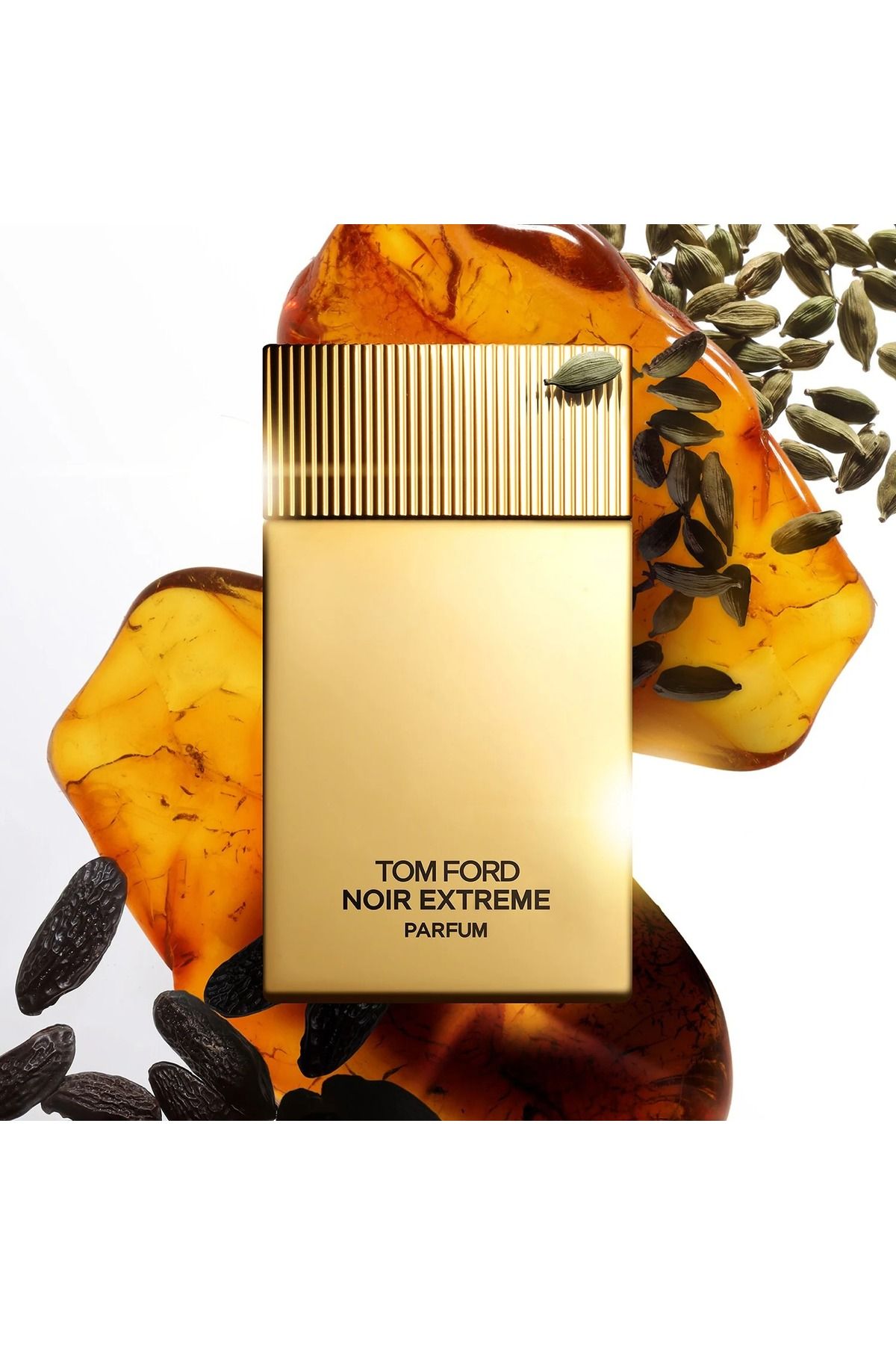 Noir Extreme - عطر - 100 میلی لیتر Tom Ford