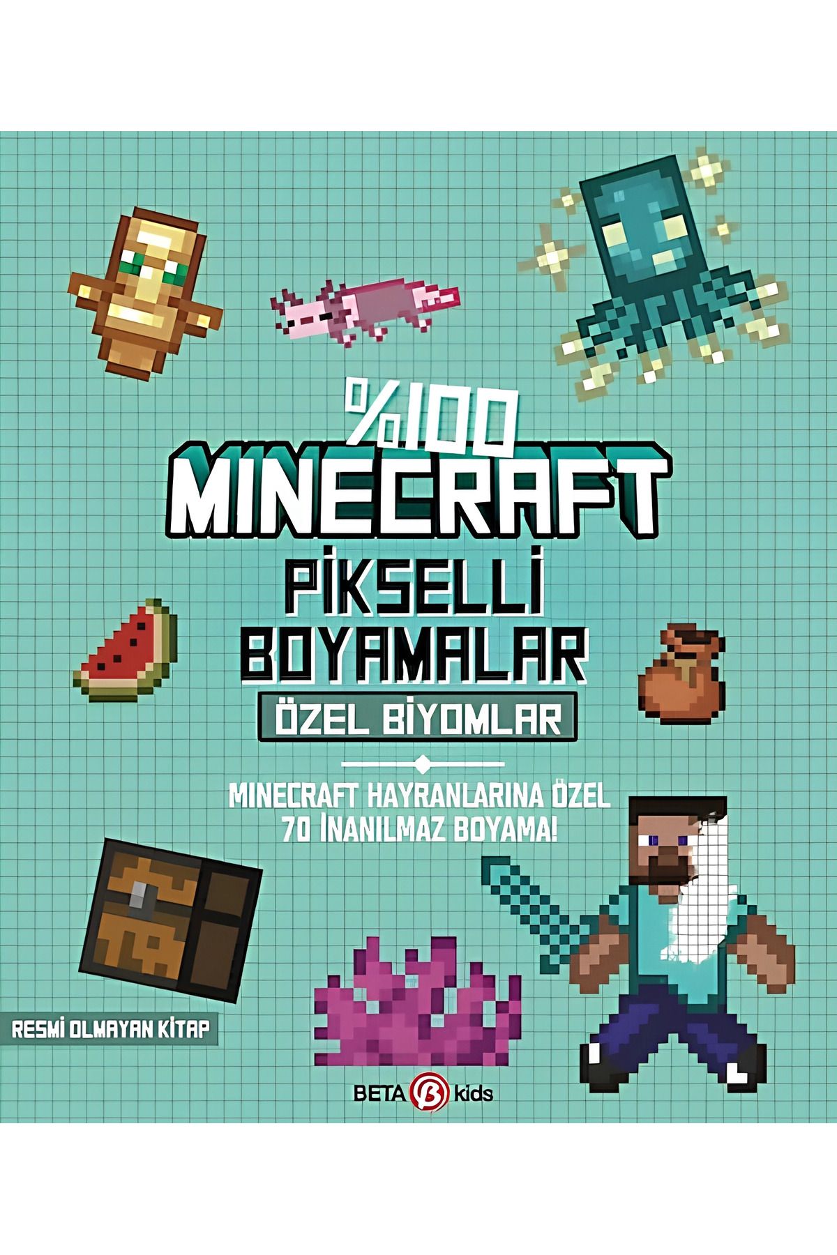 TOYFEST %100 Minecraft Pikselli Boyamalar Özel Biyomlar