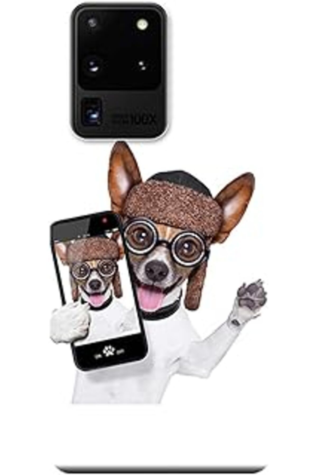 NZM TİCARET Galaxy S20 Ultra Kılıf (Sm-G988B) Baskılı Silikon Sevimli Köpek Stk:451