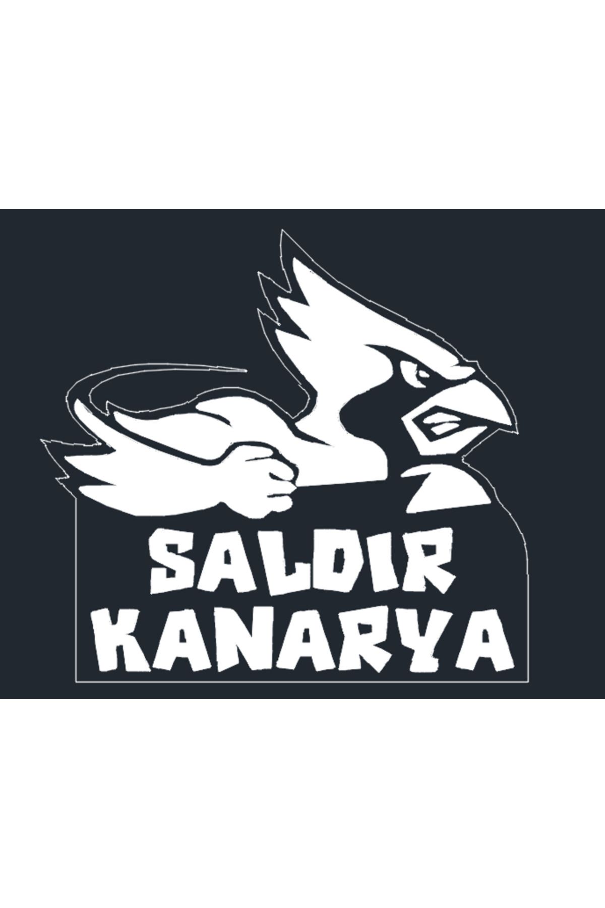 CRAFTAREA Saldır Kanarya Temalı Lazer Kesim Metal Duvar Dekoru