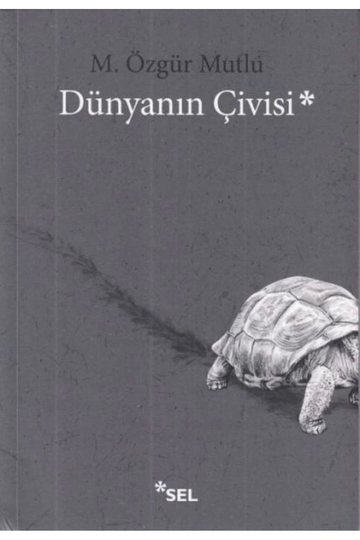 Sel Yayınları Dünyanın Çivisi