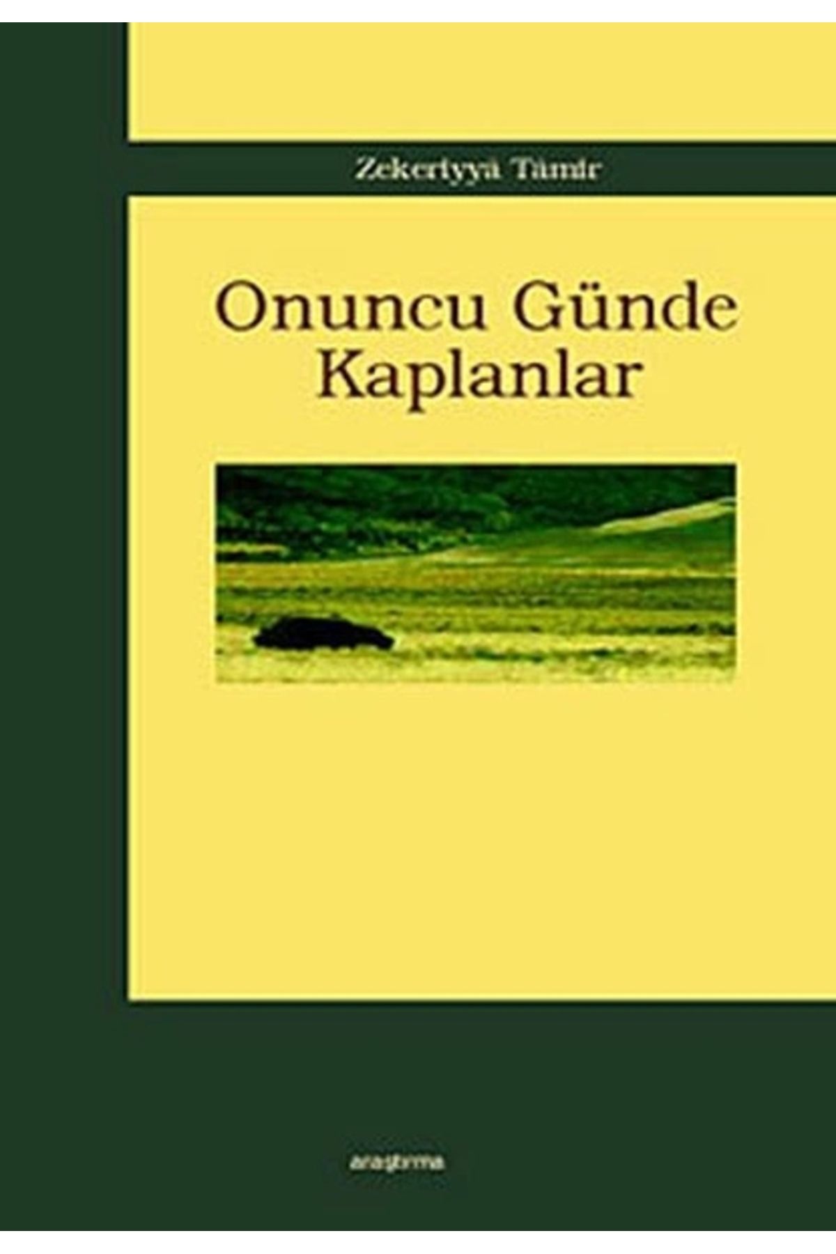 Araştırma Yayınları Onuncu Günde Kaplanlar