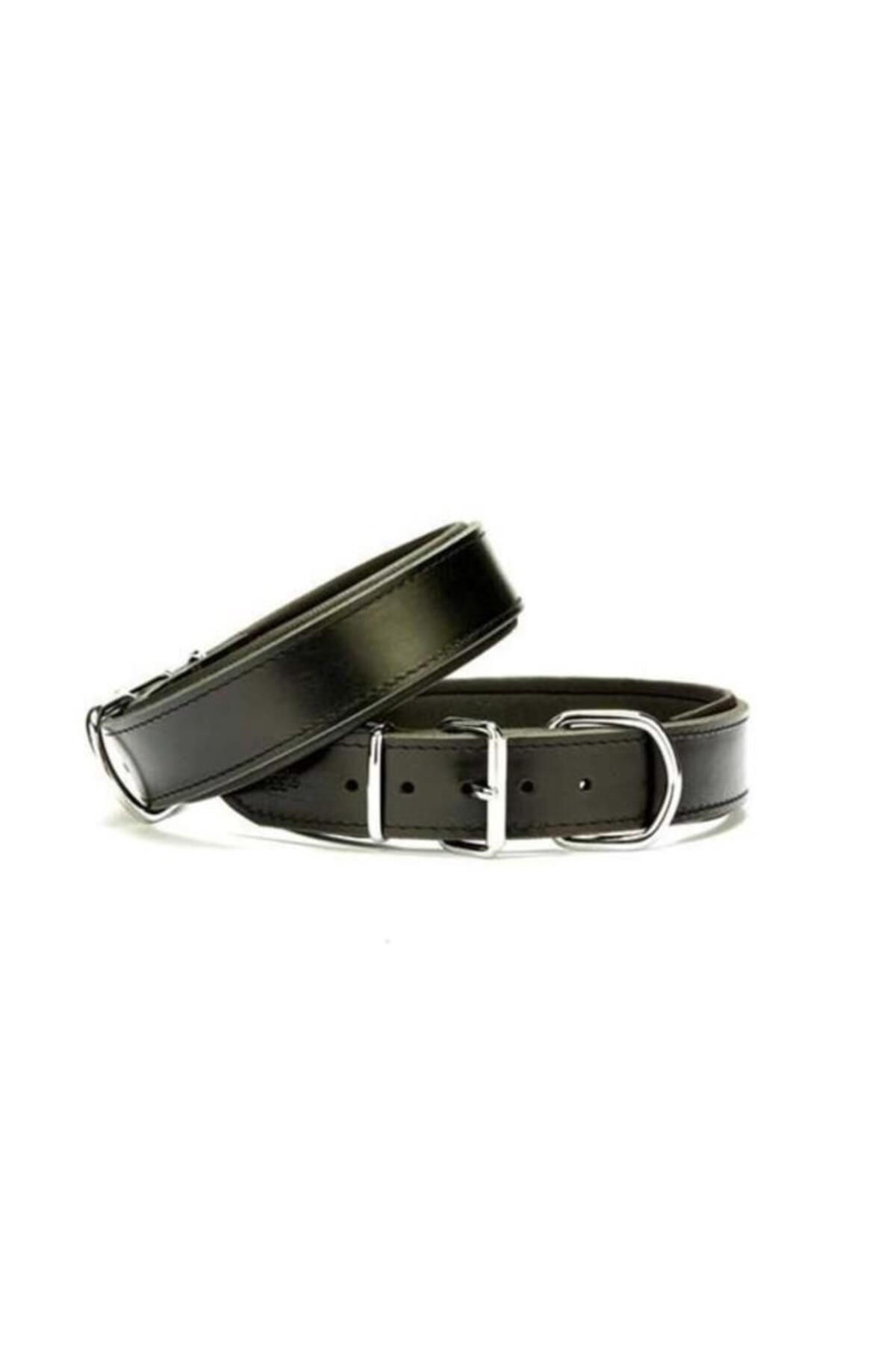 O Dog Doggie Dayanıklı Deri Köpek Boyun Tasması Small Siyah 4x47-55 Cm