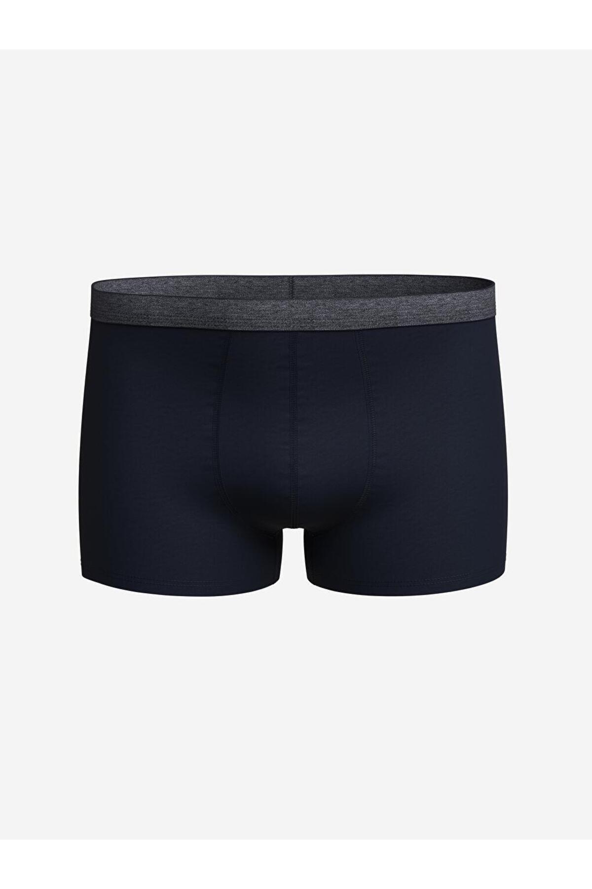 LC Waikiki-Standard Mold Cotton Flexible Men's Boxers 3-Piece 5